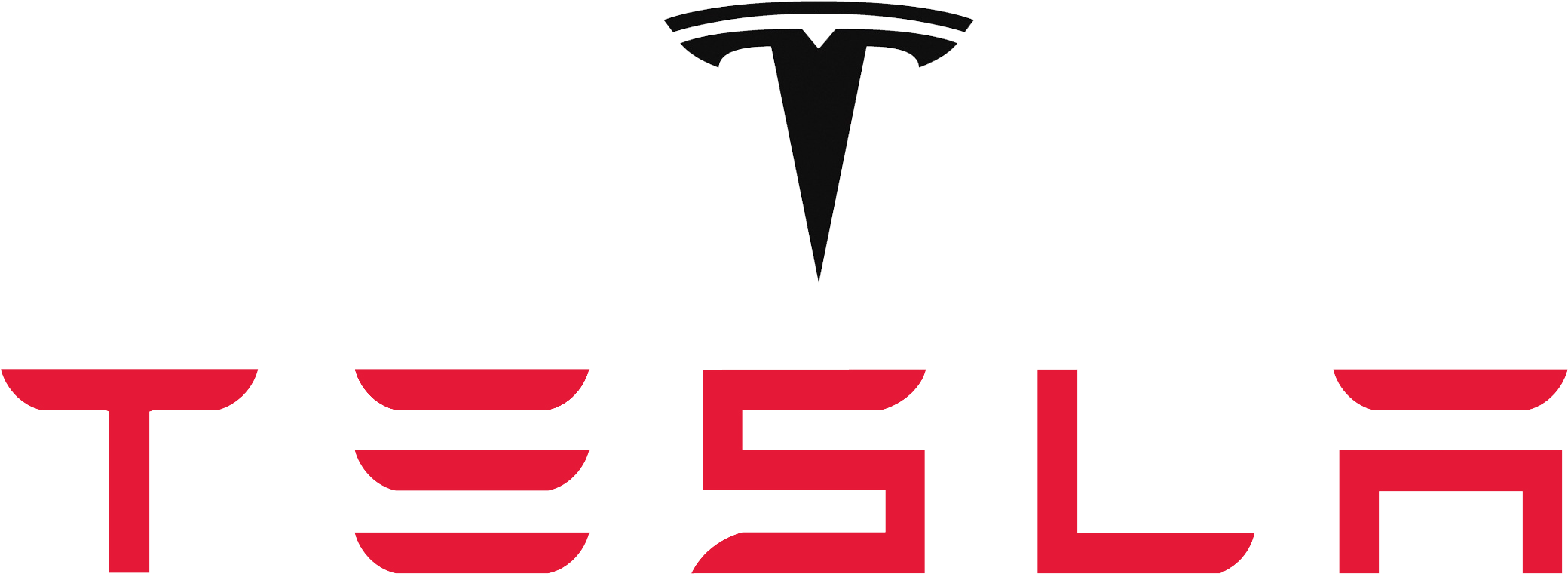 Eco Friendly And Conscientious Consumers Can Finally - Tesla Logo ...