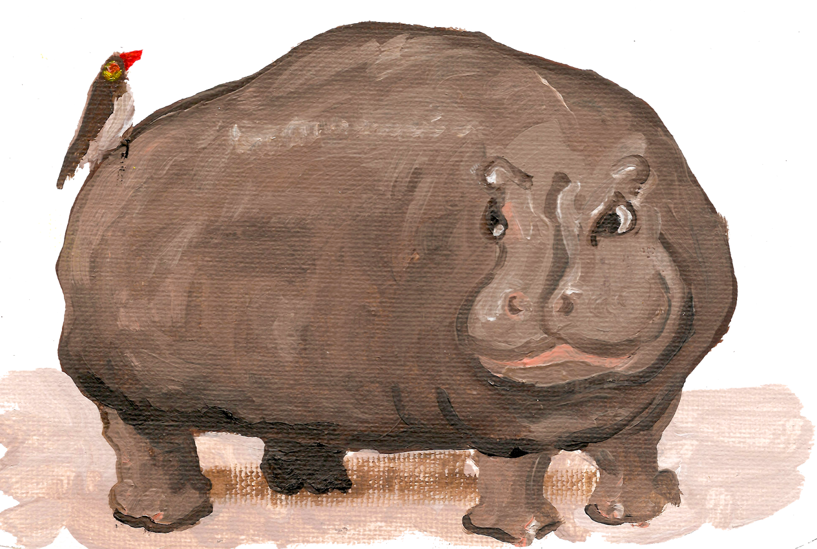 Grumpy Grumblyhuffs - Hippopotamus (1600x1076), Png Download