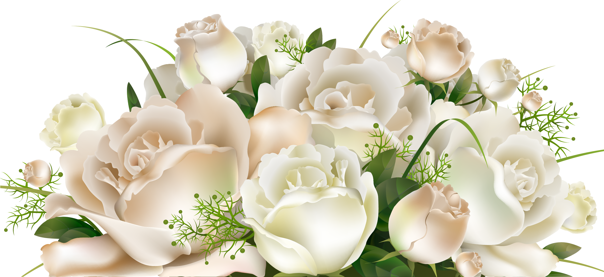 Top 72+ imagen white rose transparent background - Thpthoanghoatham.edu.vn