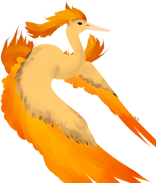 Download Transparent Moltres Doodle Cause I Was Bored And Didnt ...