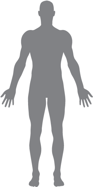 Download Muscleman - Forma Del Cuerpo Humano PNG Image with No ...