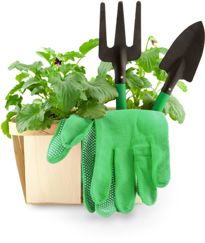 Download Gardening Png Image Garden Tools Png Transparent Png Image With No Background Pngkey Com