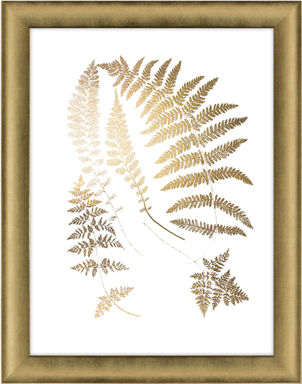 Download Gold Foil Ferns Ii - Ashton Wall Décor Llc Trends 'gold Foil ...