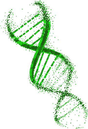 Scottish Dna Replication Network Dna Free Transparent Png Download