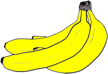 Bananas Drawing Fruit Banaani - Free Transparent PNG Download - PNGkey