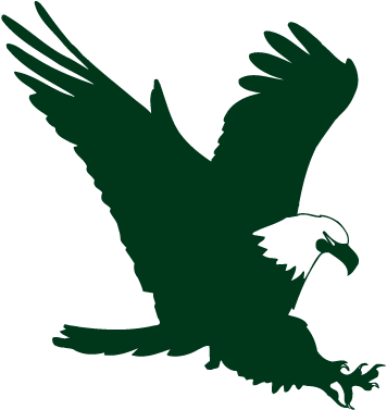 Download Swift Eagle Charitable Foundation - Green Eagle Logo Png PNG ...