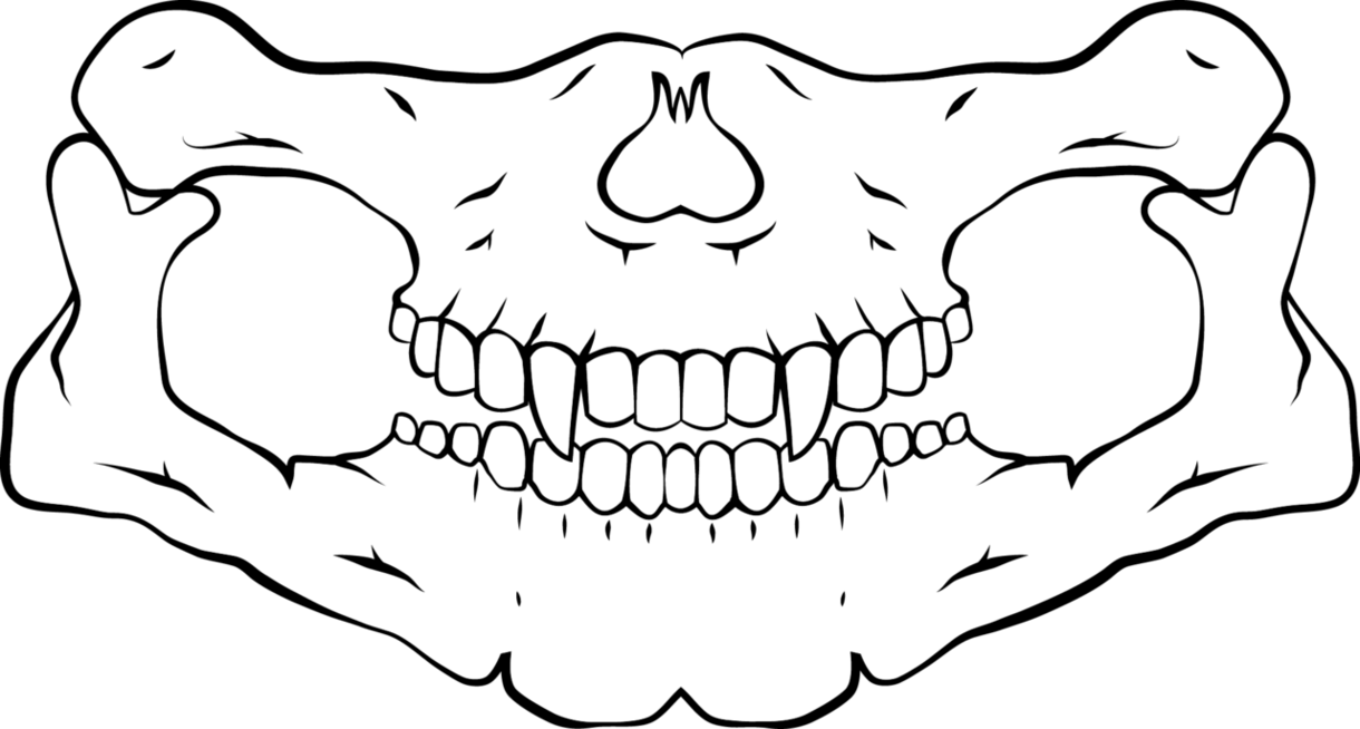 Skull Bandana Png - Skull Mouth Scarf Png - Free Transparent PNG