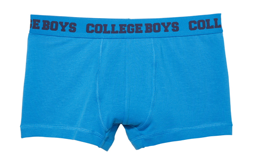 https://www.pngkey.com/png/full/211-2119858_boys-underwear-blue-boxer-briefs-underpants.png