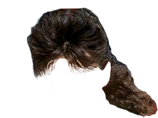 Mullet hotsell wig png