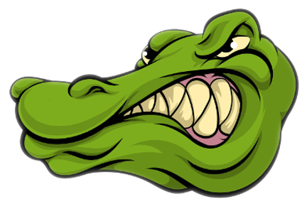 Gator - Crocodile Cartoon Head - Free Transparent PNG Download - PNGkey