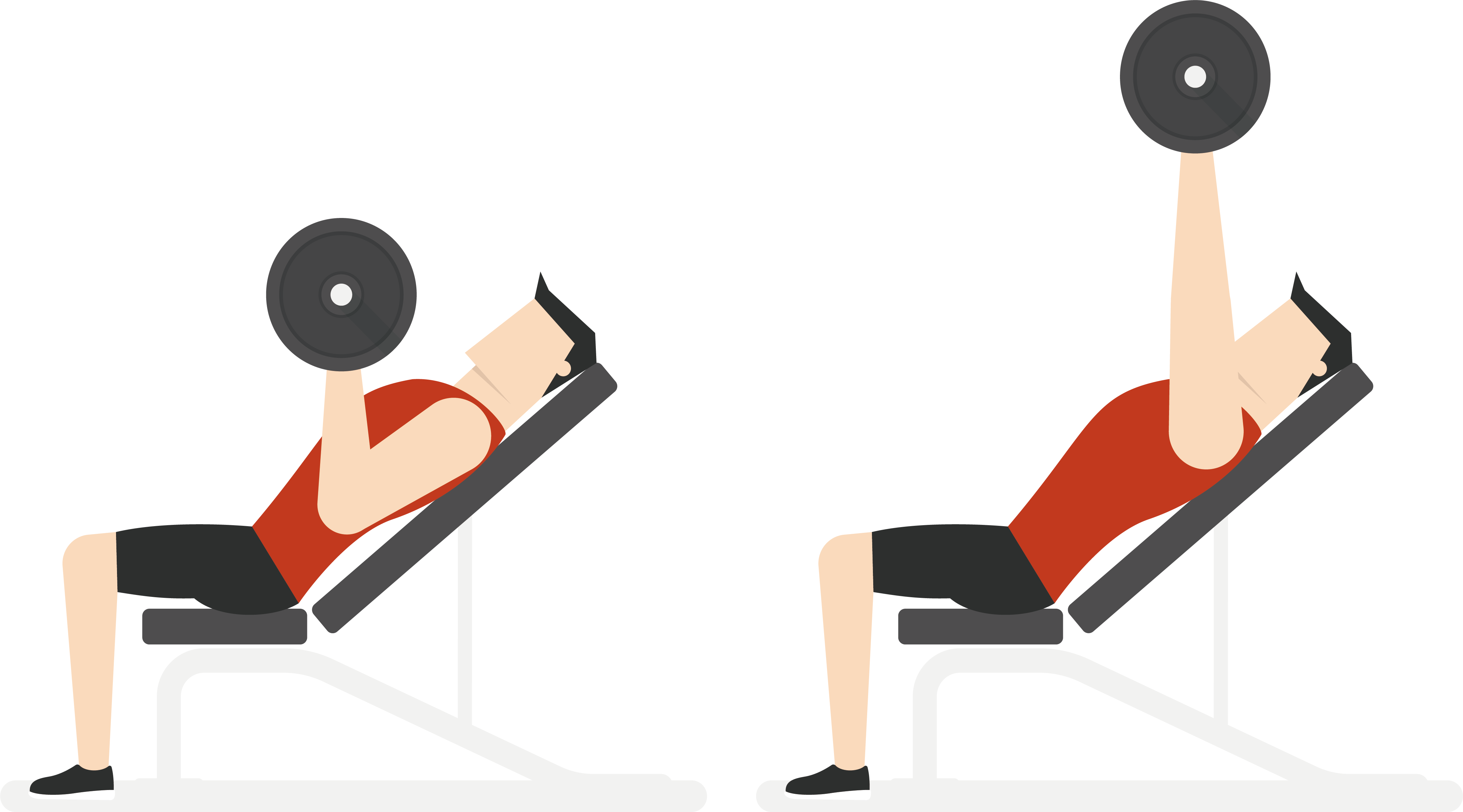 Download Exercise Bench Clipart Transparent Gym Vector Png Png Image With No Background Pngkey Com