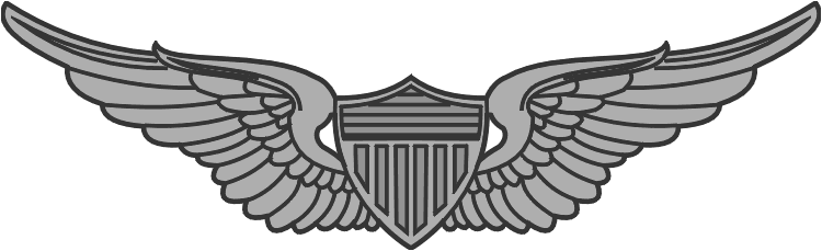 Download Us Army Aviation Badge Us Army, Badges, Aviation, Awards ...