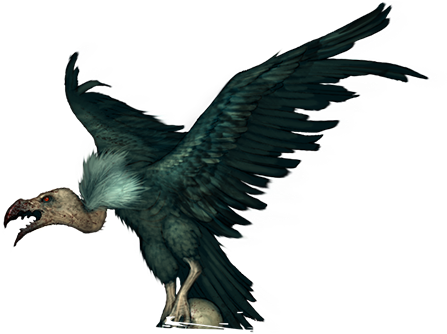 Vulture - Free Transparent PNG Download - PNGkey