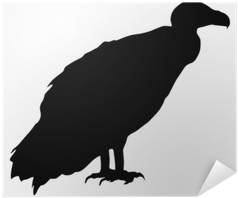 Vulture Silhouette - Free Transparent PNG Download - PNGkey