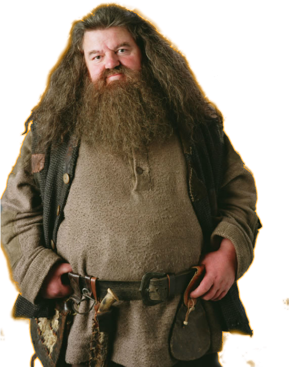 Foto de Rúbeo Hagrid personagem de Harry Potter