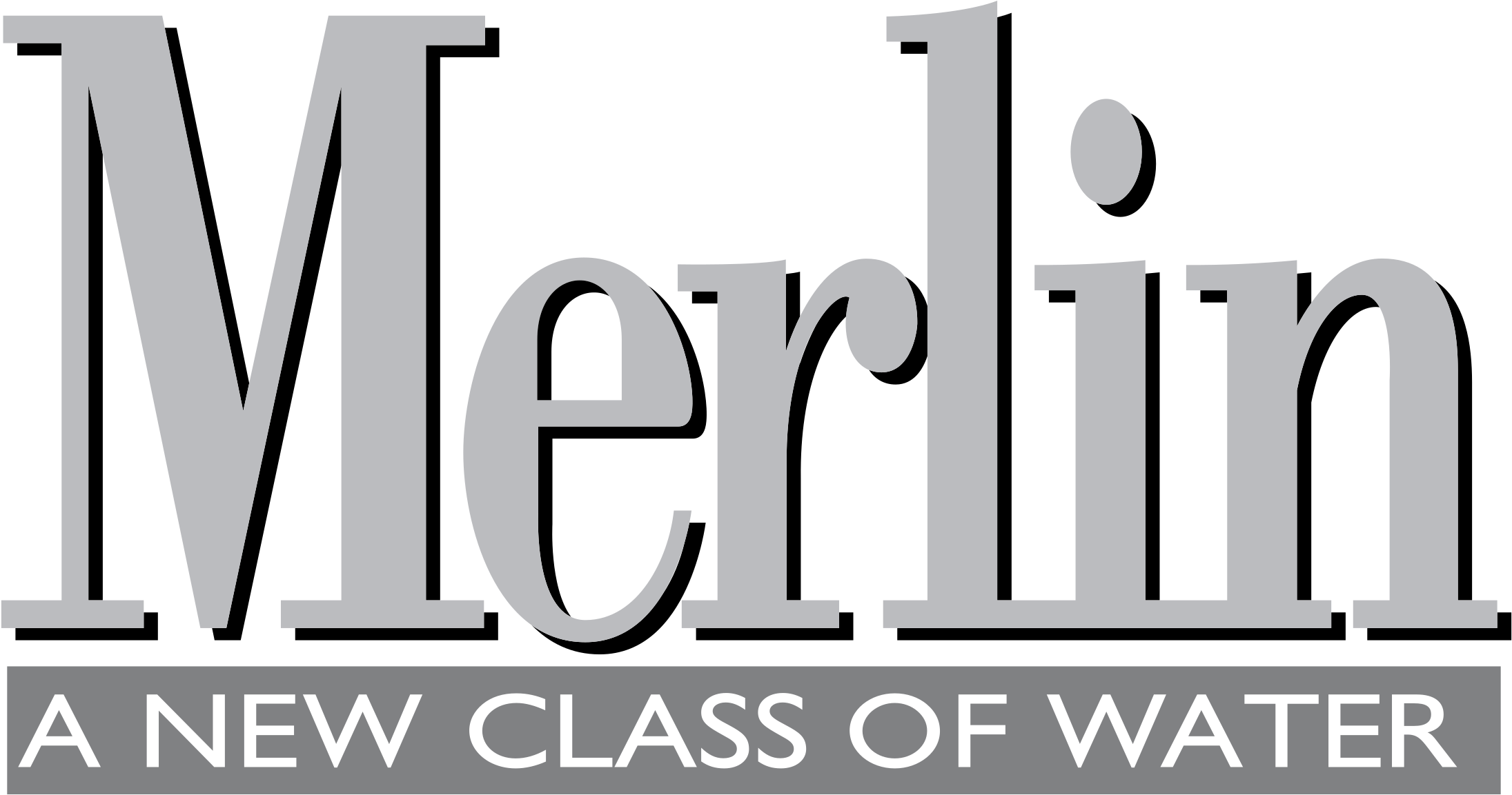 Merlin Logo Png Transparent - Logo (2400x2400), Png Download