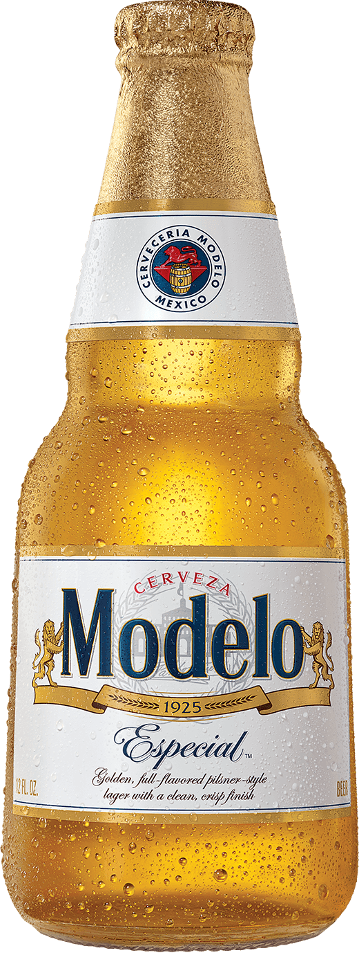 Download Modelo Especial PNG Image with No Background 