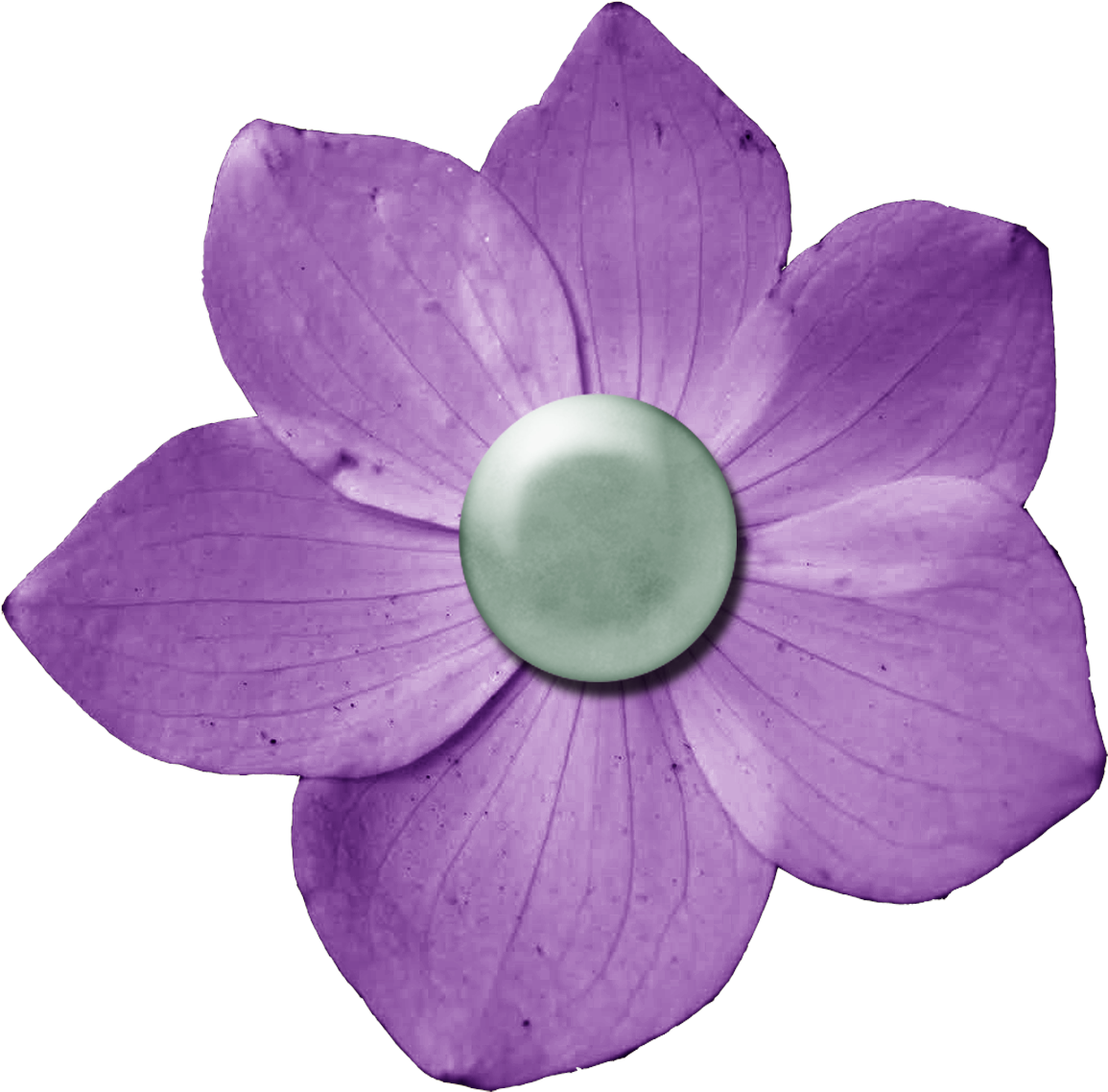 Download Dark Purple Flower - Dark Pink Flowers Png Png Image With No 