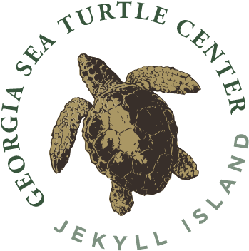 Download Georgia Sea Turtle Center Logo 360px - Georgia Sea Turtle ...