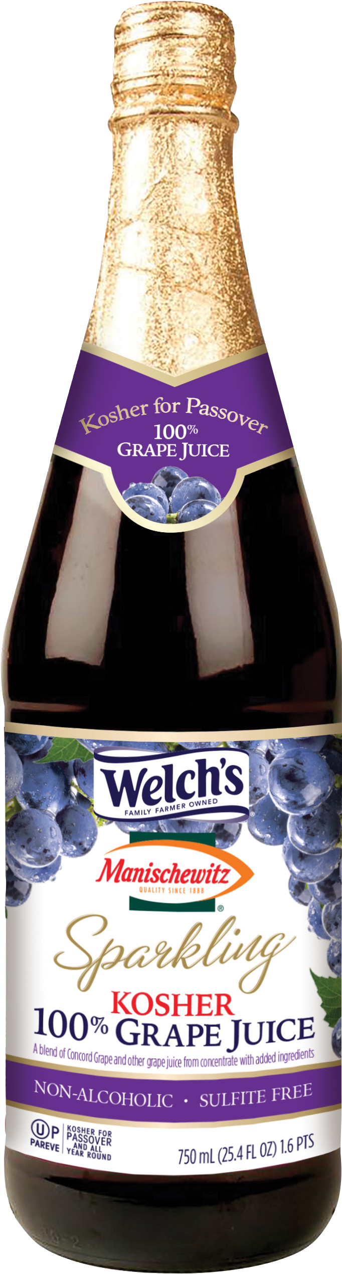 Download Grape Juice Png Welch S Sparkling Grape Juice Png Image With No Background Pngkey Com