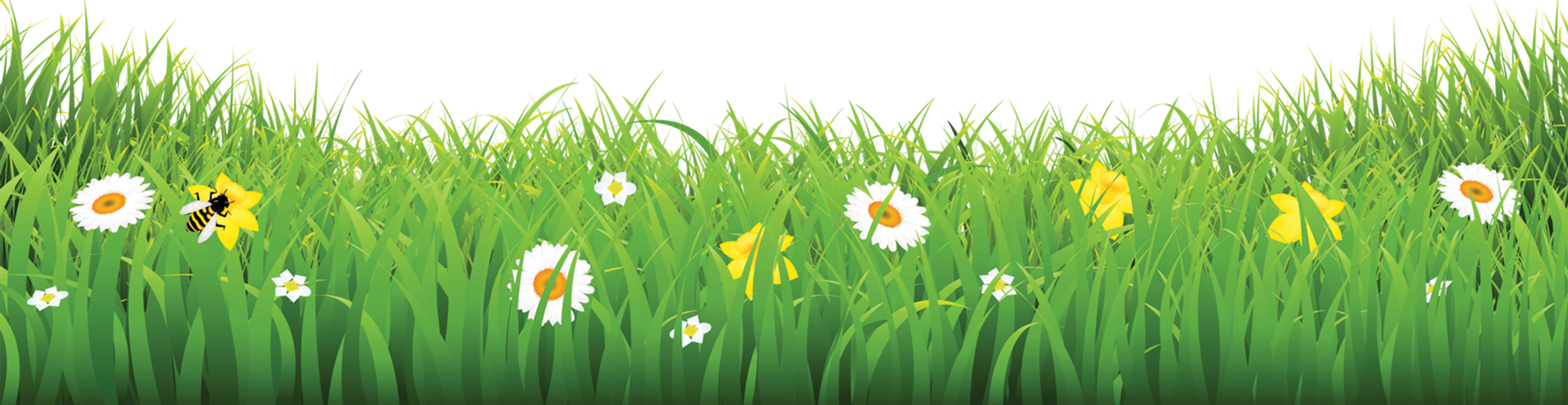 Grass-flower - Flower & Grass Pic Png - Free Transparent PNG Download ...