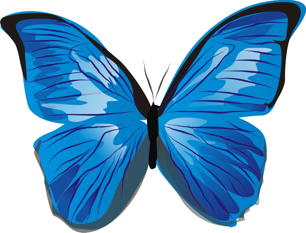 Blue Butterflies Png - Blue Butterfly Clipart Png (1022x781), Png Download