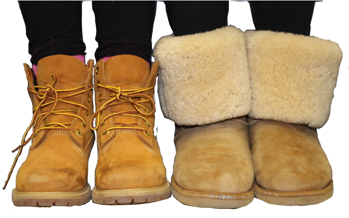 uggs timbs