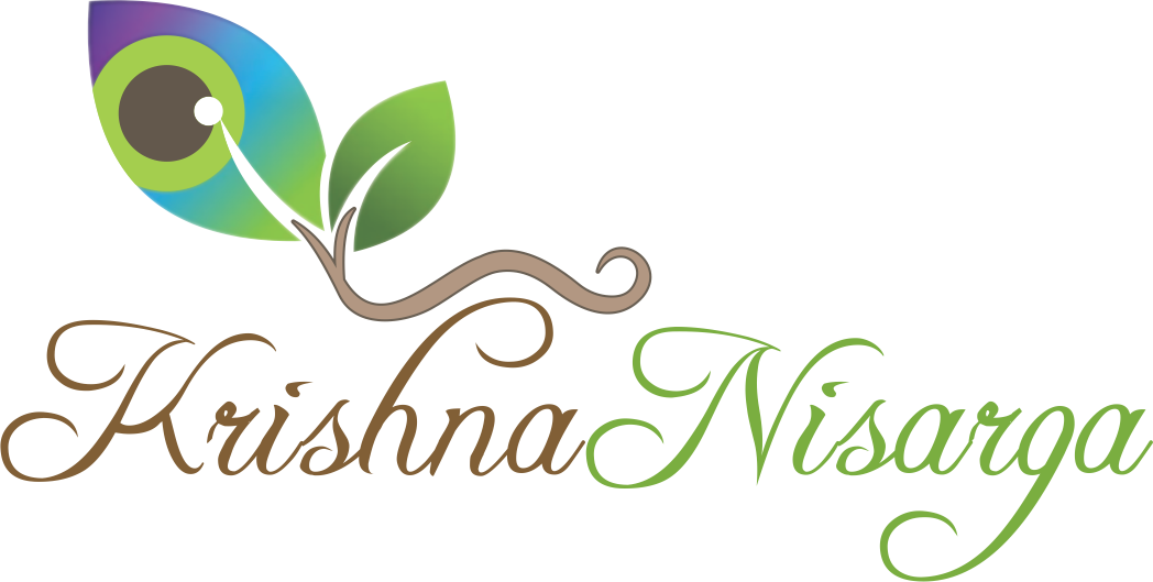 KRISHNA png images | PNGWing