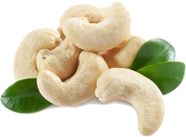Cashew Nut Png - Hd Images Of Cashew (400x300), Png Download