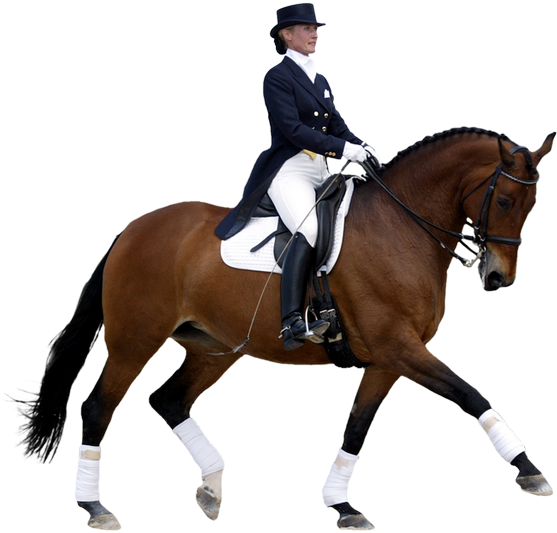 Download Horse And Rider Png PNG Image with No Background 