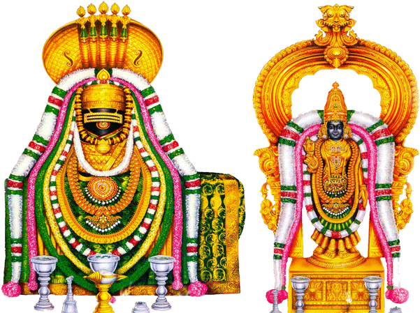 download vadivudai amman png image with no background pngkey com download vadivudai amman png image with