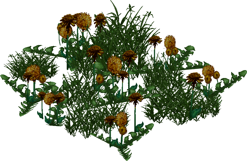 Aztec Marigold - Bouquet (843x843), Png Download