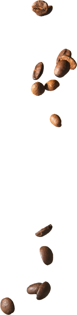 Download Falling Coffee Beans Png Image With No Background Pngkey Com