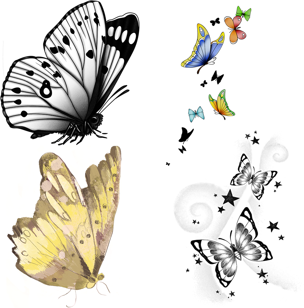 Download Use These Sample Clipart Items From The Butterfly Clip - Picsart  Butterfly PNG Image with No Background 