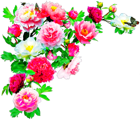 Download Editing Overlay And Transpa Image - Flowers Hd In Png PNG Image  with No Background 