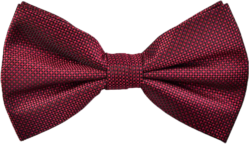 Download Textured Robin Bow Tie In Burgundy Red - Zoom Video ...