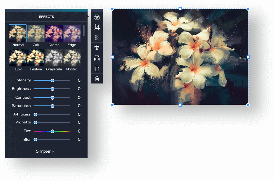 Download Blur Editor Preview - Grandfailure 'white Flowers In Dark' Canvas  Gallery PNG Image with No Background 