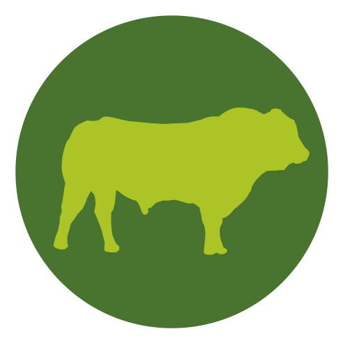 Download Bull - Beef PNG Image with No Background - PNGkey.com