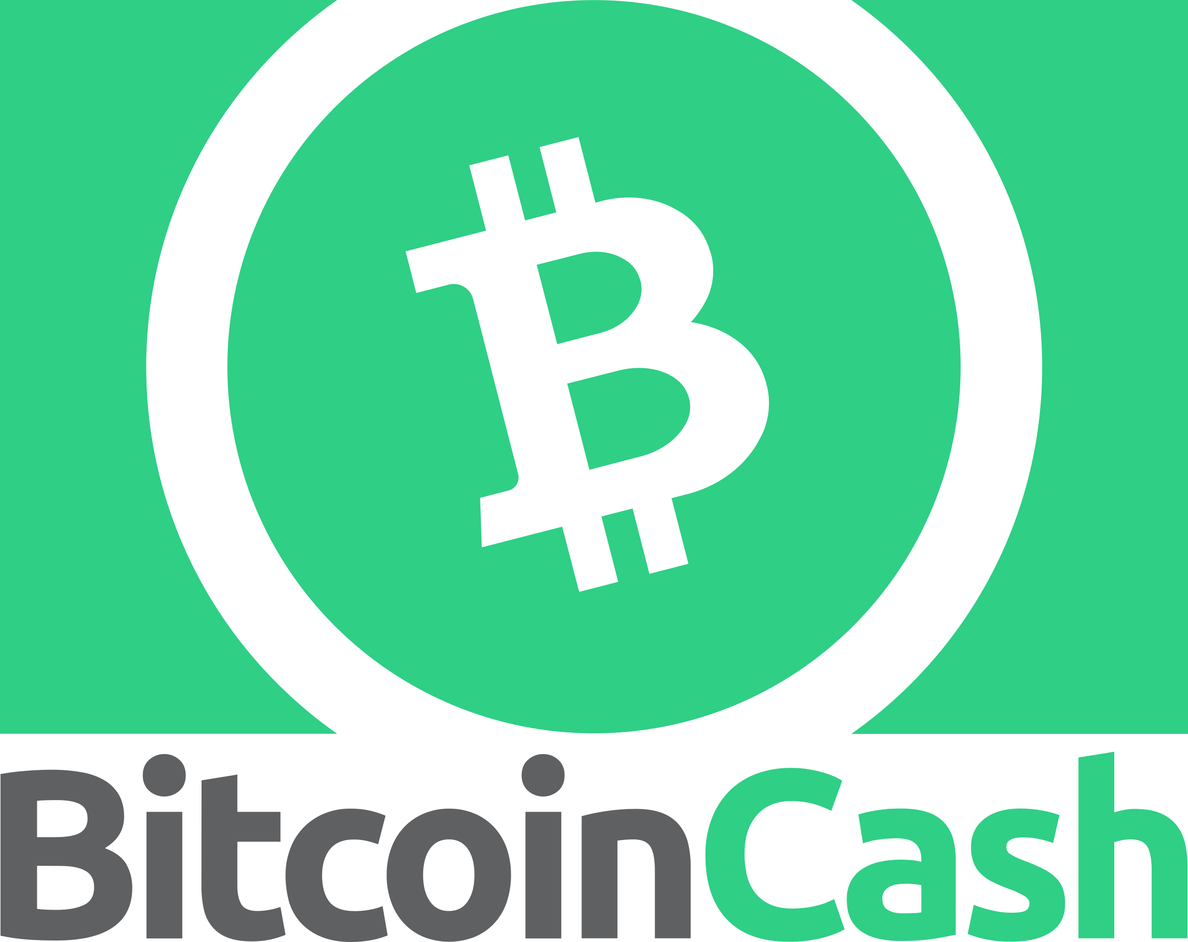 Download Meetup Learn More Bitcoin Cash Logo Png Png Image With No Background Pngkey Com