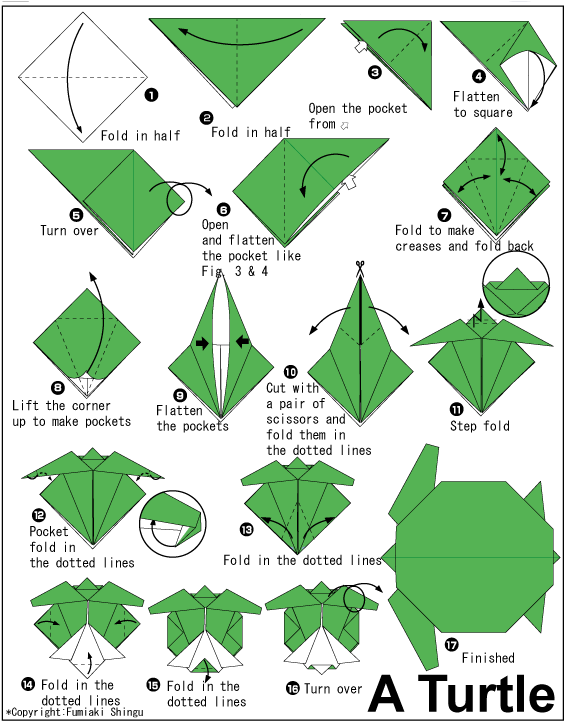 Download Turtle - Easy Origami Instructions Printable Png Image With No 2F5