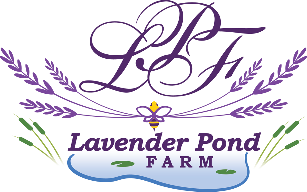 Download Lpf Logo Final Lavender Png Image With No Background Pngkey Com