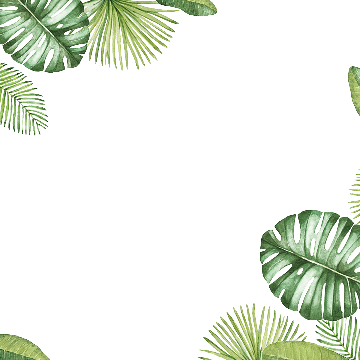 Download Transparent Background Leaf Border PNG Image with No Background -  