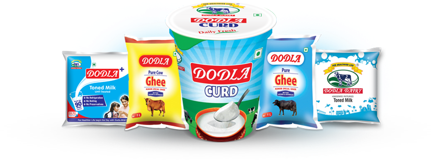 G M Reddy Dairy Parlour » Indian Cattle
