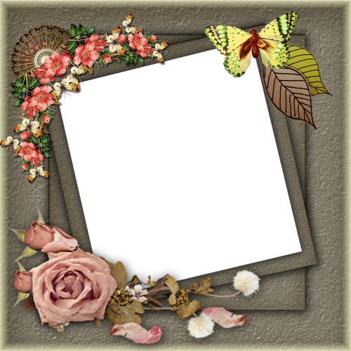 Download Frame Png,frame Png Pictures,frame Png Floral - Frames PNG ...