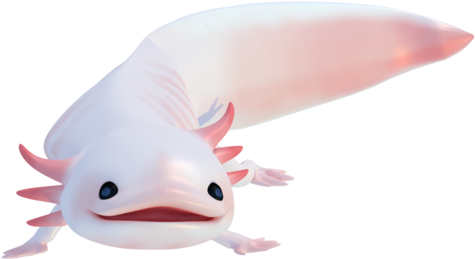 Download Axolotl Png - Transparent Axolotl Png PNG Image with No ...