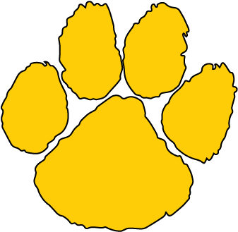 Download Black Paw, Gold Paw PNG Image with No Background - PNGkey.com