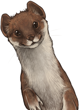 Download Leastweaselday Weasel Transparent Background Png Image With No Background Pngkey Com