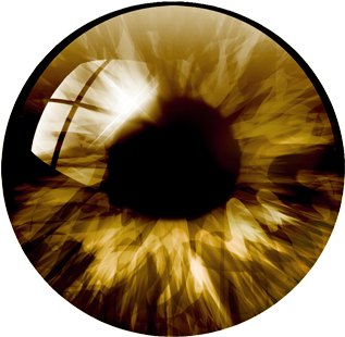 Download Eye Pupil Png Pic - Gold Black Evil Eyes Necklace Dome Pendant ...