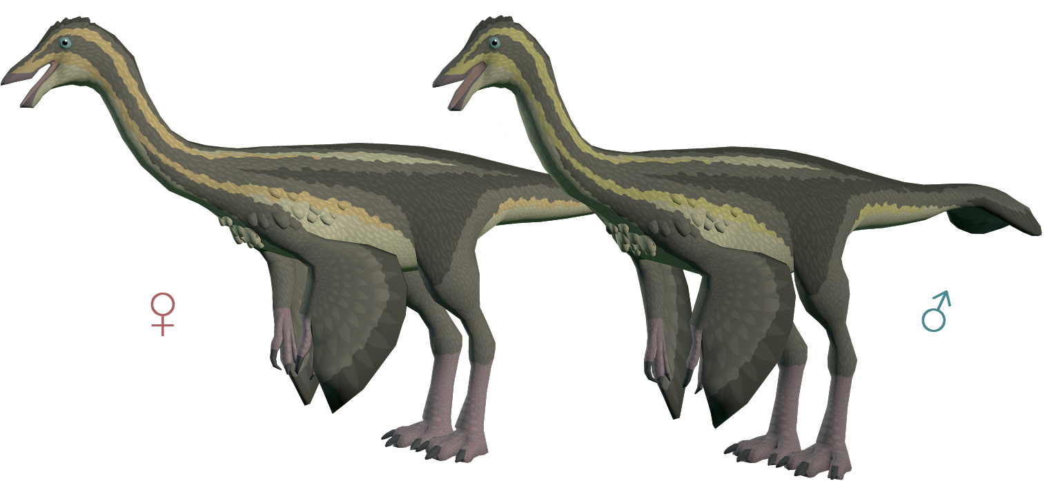 Download Duckling Gallimimus The Archotek Project - Gallimimus PNG ...