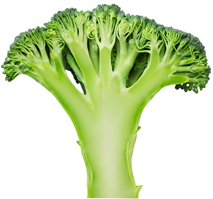 Download Nutritionals Values - Broccoli PNG Image with No Background ...